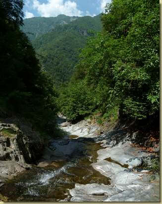 il Rio dei Riazzoli...