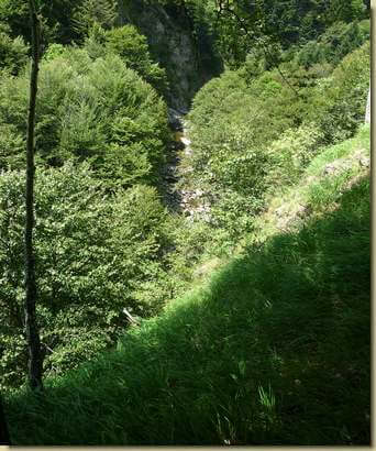 il Rio Fiorina...