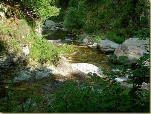 il Rio di Vald e il Rio Fiorina...