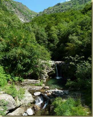il rio presso l'Alpe Boschelli...