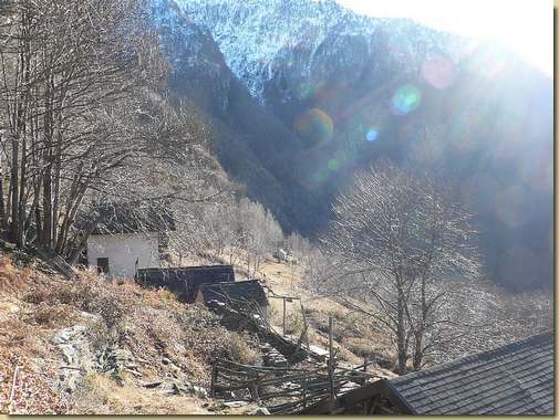 Alpe Aurinasca 