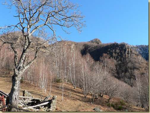 all'Alpe Orzolo  