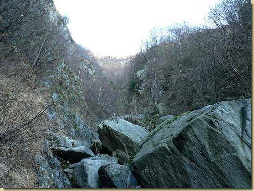nel canale del Rio di Cuzzego