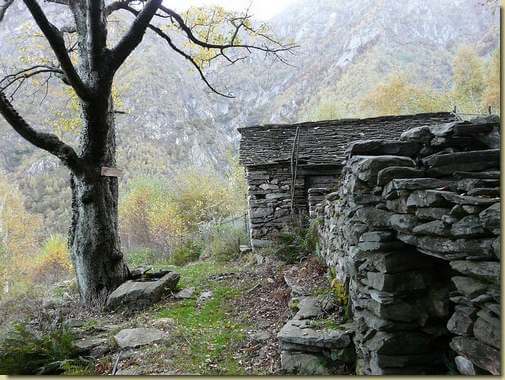 all'Alpe Prasain 