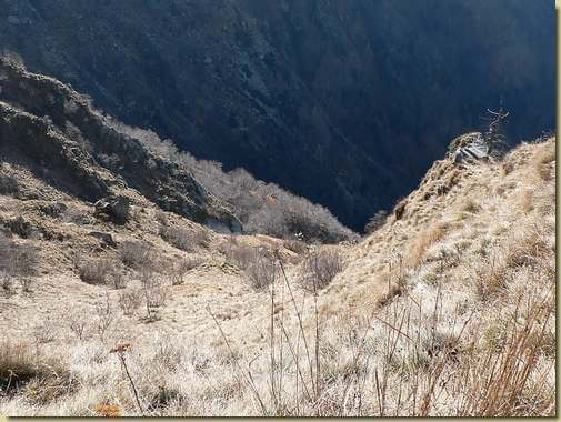 prati dell'alta Valle del Rio di Prata