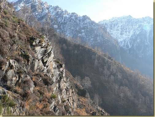 verso l'Alpe Taccarello... 