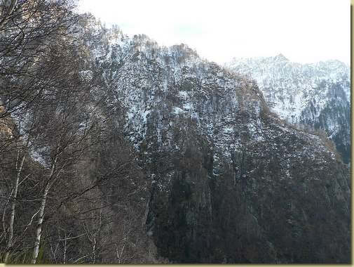 al centro il prato dell'Alpe Taccarello 