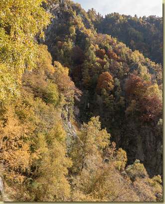 autunno nella Valle del Rio di Prata...