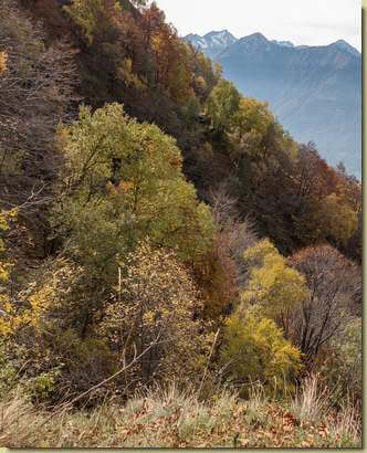vista verso la dorsale dell'Alpe Taccarello...