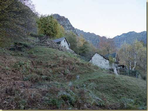 ad Aurinasca...