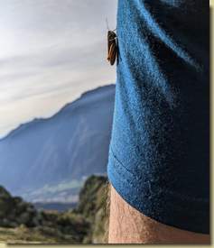 passeggero...