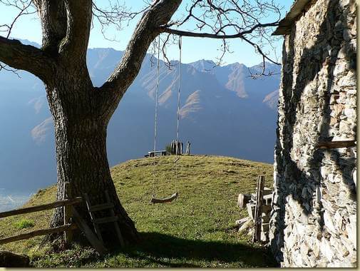 la bella altalena a Curpic... (ora la pianta non c'è più) 