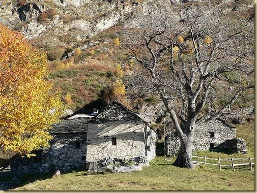 Alpe Curpic 