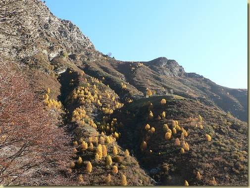 verso l'Alpe Curpic 