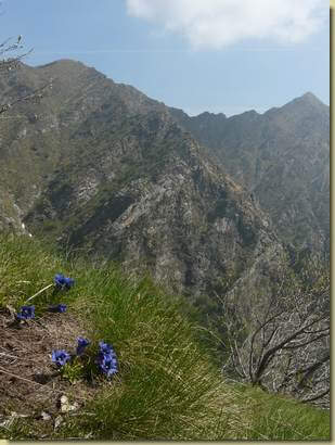 a destra la Cima Sciarina...