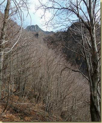 in alto, il Mott Gianin e il Lesino...