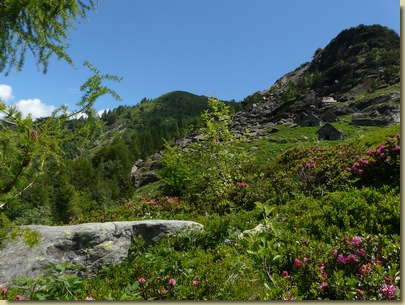 in alto l'Alpe Sassoledo superiore, in primo piano il masso con i petroglifi