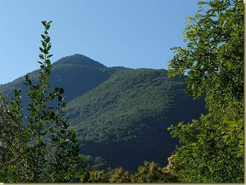 la dorsale del Bosco dell'Erta verso l'Alpe Roi 