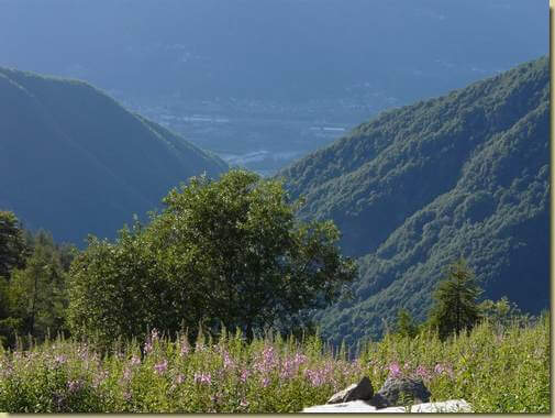 all'Alpe Ogliana... 