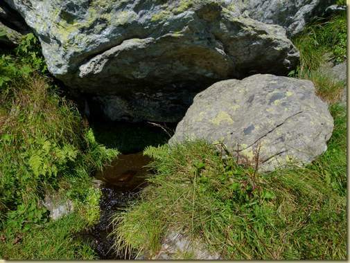 la sorgente di Pianz&agrave;...