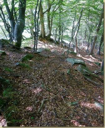 scendendo verso Fondighebi...