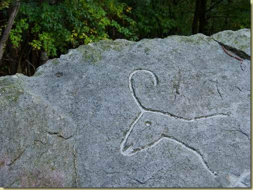 il camoscio di Sottosasso di sopra...