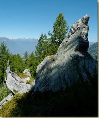 sulla cresta...