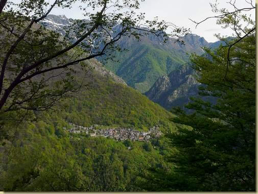 Cicogna... 