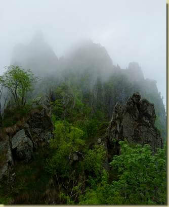 guglie nella nebbia...