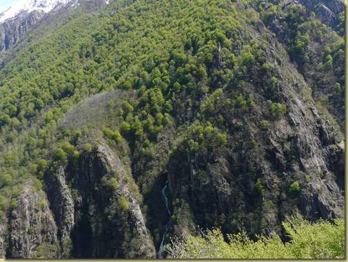 il bosco di Pianezza e il canale dove scende il sentiero visti dall'Alpe del Braco 