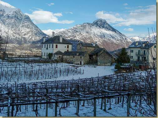 i vigneti di Trontano...