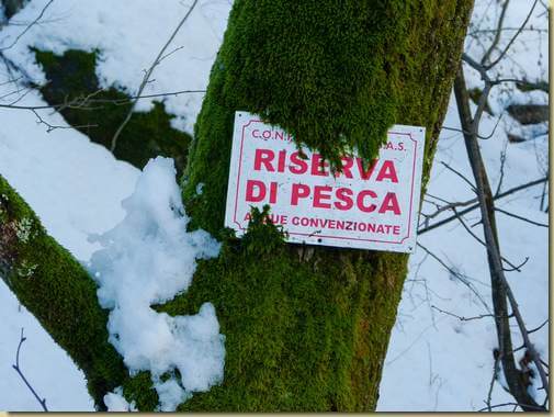 cartello "muschiato"...