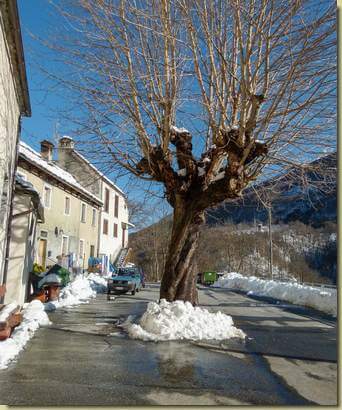 albero spartitraffico...