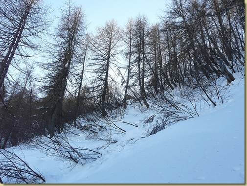 verso l'Alpe Nava, l'ultimo ripido tratto prima dell'Alpe... 
