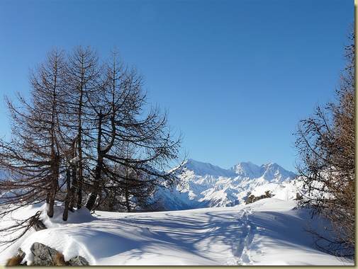 sullo sfondo Weissmies, Lagginhorn e Fletschhorn  