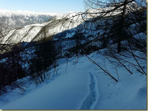 seguendo la traccia dei camosci... 