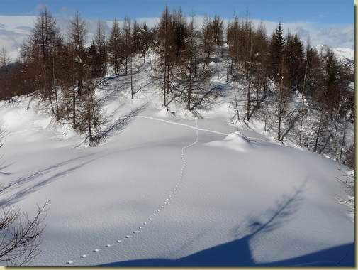 incrocio di tracce... 