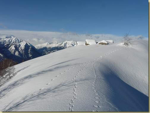 arrivo all'Alpe Noccola 