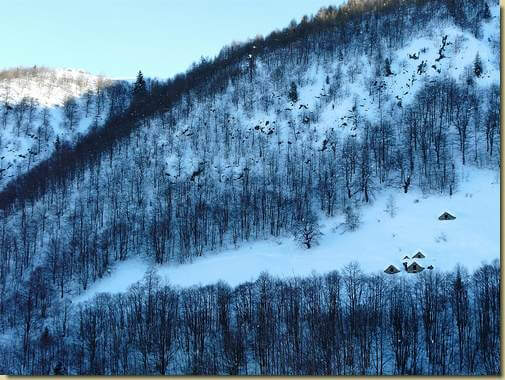 Alpe Campo e Alpe Noccola... 