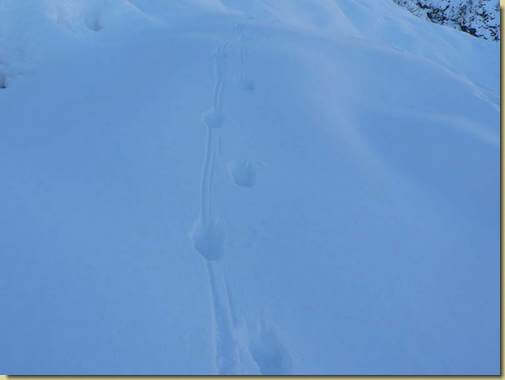 tracce.. 