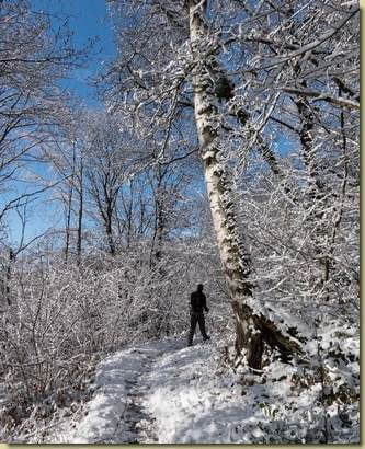 inverno in Val Ganna...