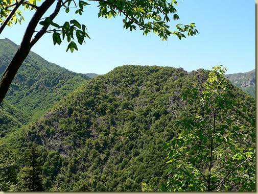 il Pizzo Turi dalla Cima Loviga