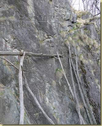 i supporti del tronco...