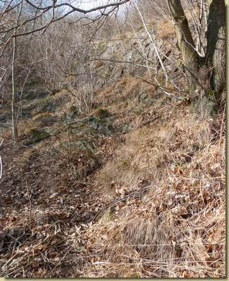 lieve traccia che sale al Mot Gianin...