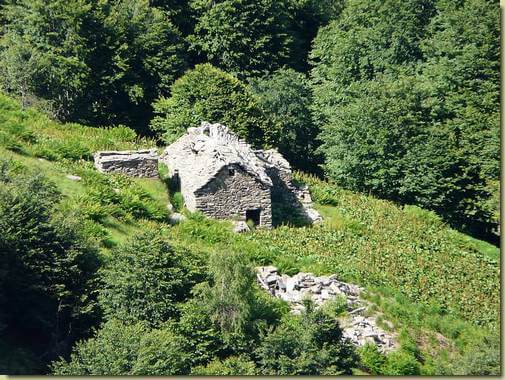 Alpe Cortevero [teleobiettivo] 