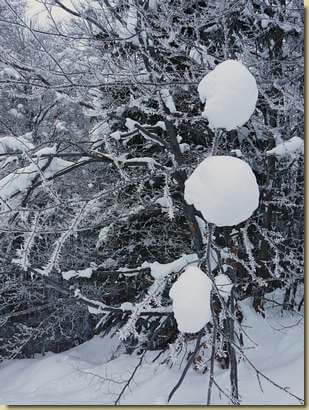 inverno... 