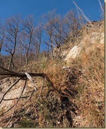 la zona della piccola frana sul fianco della Valle di Nibbio...
