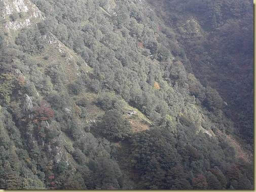 Alpe Rossola 