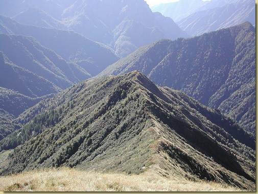 Sulla Costa Torriggia 